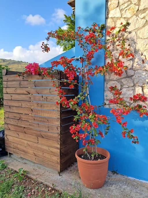 Fragosiko - Rustic Retreat In Kefalonia Argostoli  Luaran gambar