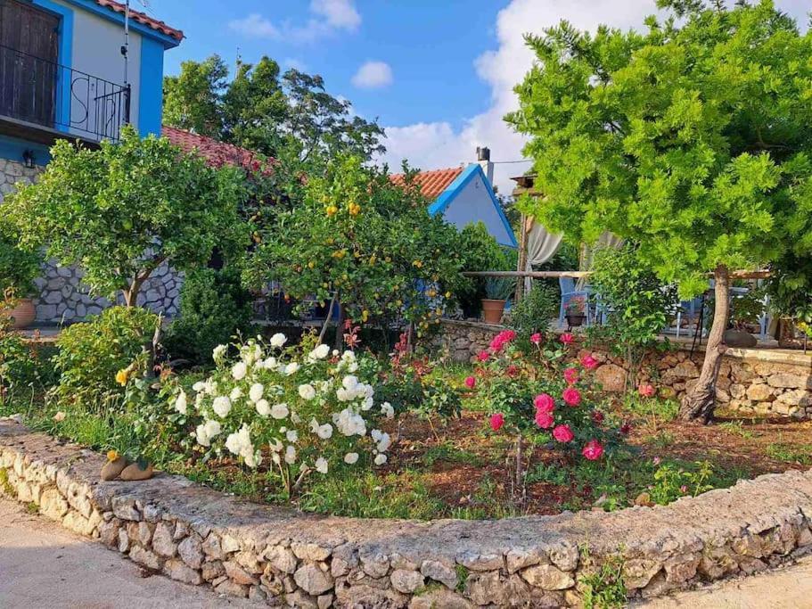 Fragosiko - Rustic Retreat In Kefalonia Argostoli  Luaran gambar